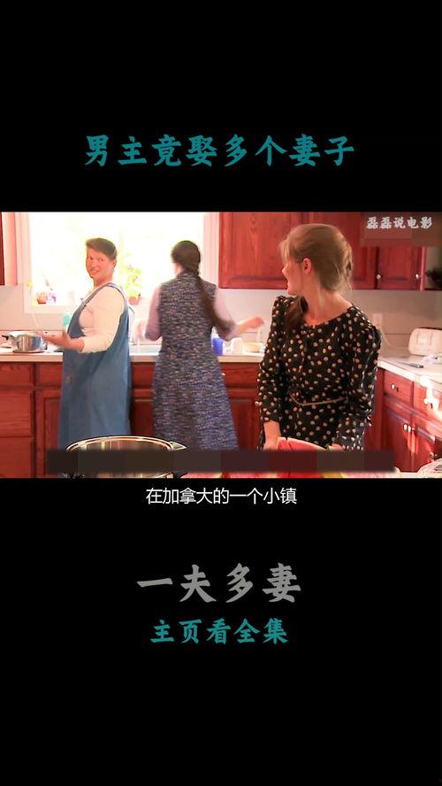 一夫多妻电影,揭秘古代婚姻制度的传奇故事
