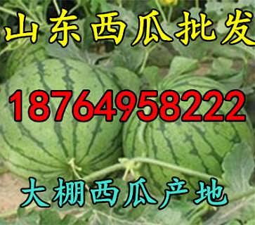 今日嫩瓜价格行情最新消息,今日最新动态一览