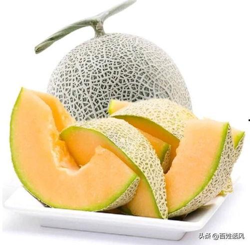 嘉兴哈密瓜批发市场今日价格