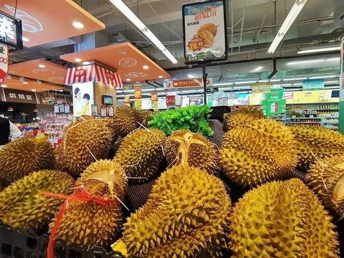 嘉兴哈密瓜批发市场今日价格