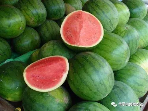 伊丽沙白瓜今日市场价格,今日价格波动解析”