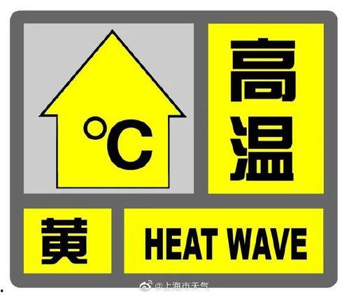 上海今日头条瓜哥是谁啊,他是谁？为何引发热议？