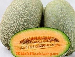 2024哈密瓜牛三今日价格行情