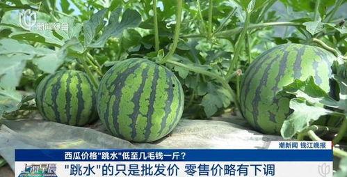 51cg黑料网爆今日大瓜,今日娱乐圈风云再起