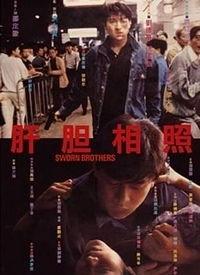 肝胆相照电影,生死相依的兄弟情深