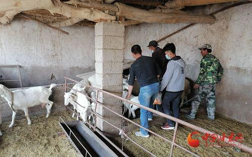 瓜州腰站子镇今日新闻,聚焦乡村振兴，共绘美好家园新画卷