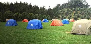 亲子露营热门话题英语,Top 10 Must-Have Tips for a Memorable Family Camping Adventure