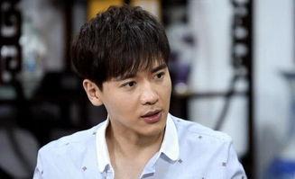 明星网红算什么职业的,揭秘网络红人的多重身份与职业路径