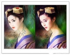 明星网红插画大全集视频,潮流视觉盛宴