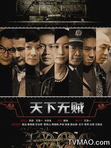 无贼电视剧,正义与邪恶的较量，守护城市的守护者