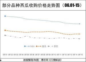 旱瓜今日价格行情走势图,今日行情走势解析