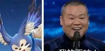 明星网红与英雄的关系,新时代偶像的蜕变之路