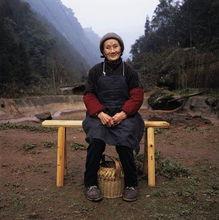 爱情天梯电影,跨越山川的永恒誓言