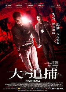 大追捕电影,生死较量，正义终将胜利