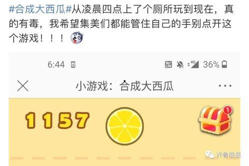 朋友圈今日吃一天瓜,今日瓜果盛宴