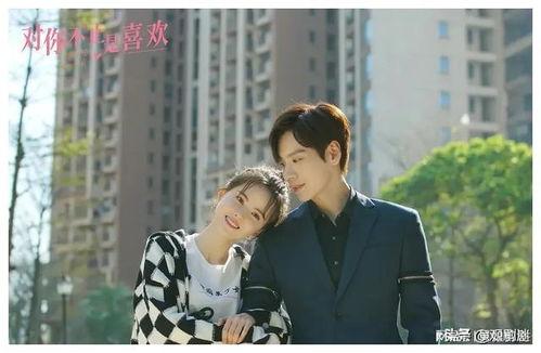 都市爱情电视剧,爱在繁华深处绽放