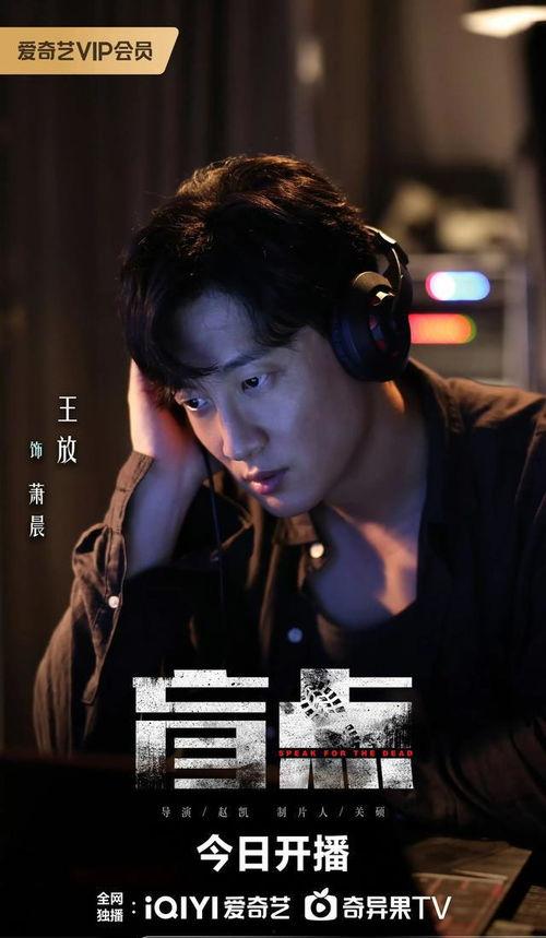 盲点电视剧,揭开真相的暗影角落